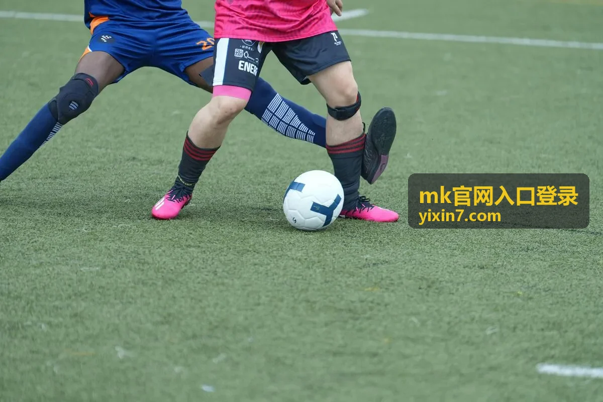 mk官网入口登录登录操作步骤配图