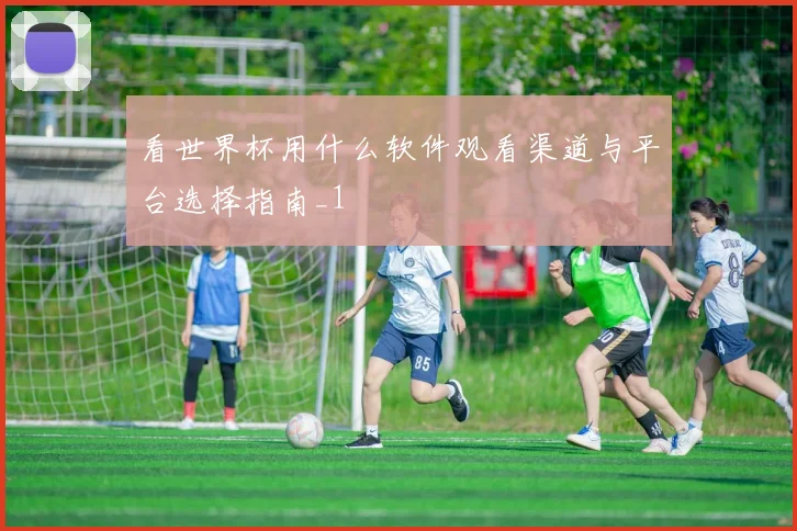 看世界杯用什么软件观看渠道与平台选择指南_1