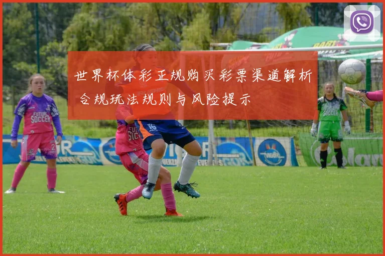 世界杯体彩正规购买彩票渠道解析 合规玩法规则与风险提示