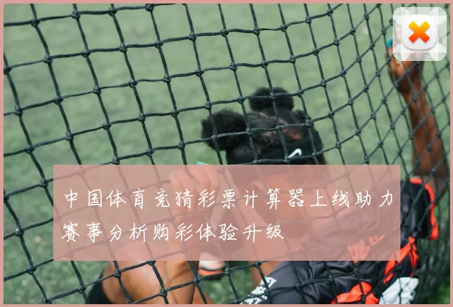 中国体育竞猜彩票计算器上线助力赛事分析购彩体验升级