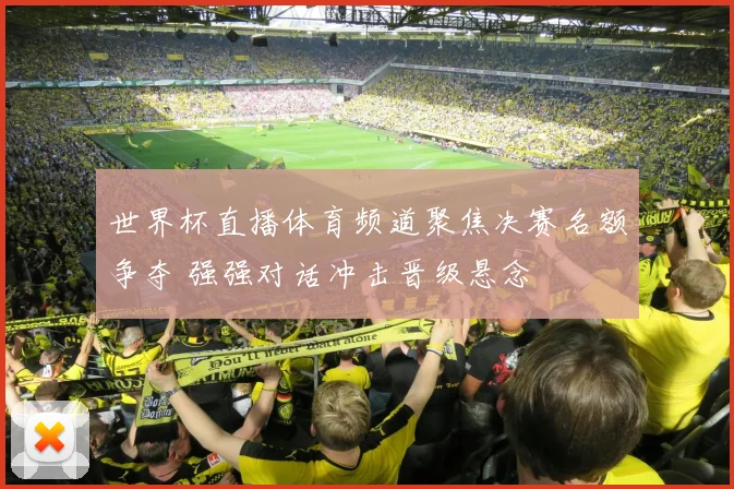 世界杯直播体育频道聚焦决赛名额争夺 强强对话冲击晋级悬念