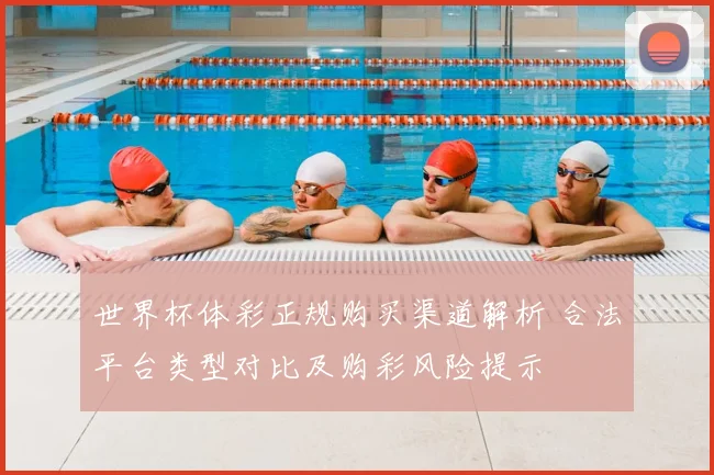 世界杯体彩正规购买渠道解析 合法平台类型对比及购彩风险提示