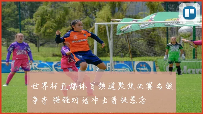 世界杯直播体育频道聚焦决赛名额争夺 强强对话冲击晋级悬念