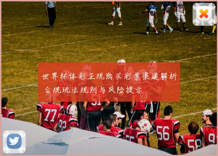 世界杯体彩正规购买彩票渠道解析 合规玩法规则与风险提示