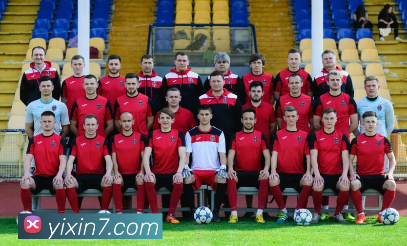 6686在线登录官网服务体系