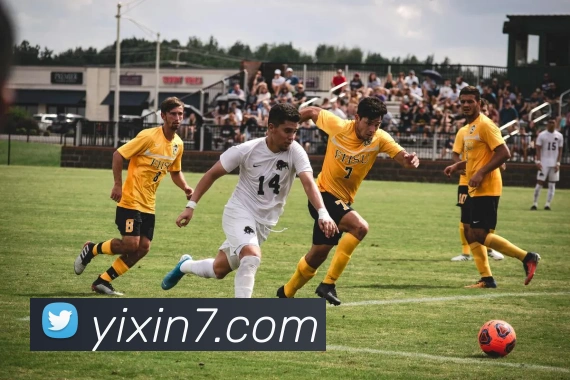 多媒体互动体验